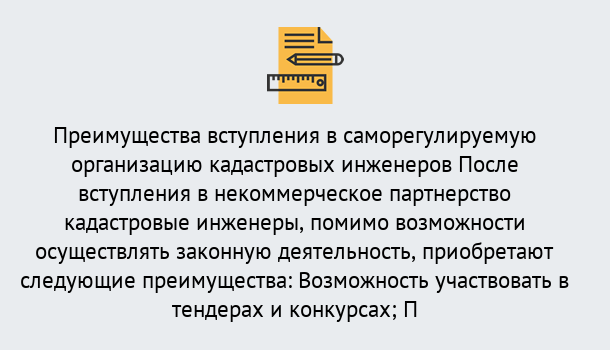 Почему нужно обратиться к нам? Стрежевой Что дает допуск СРО кадастровых инженеров?