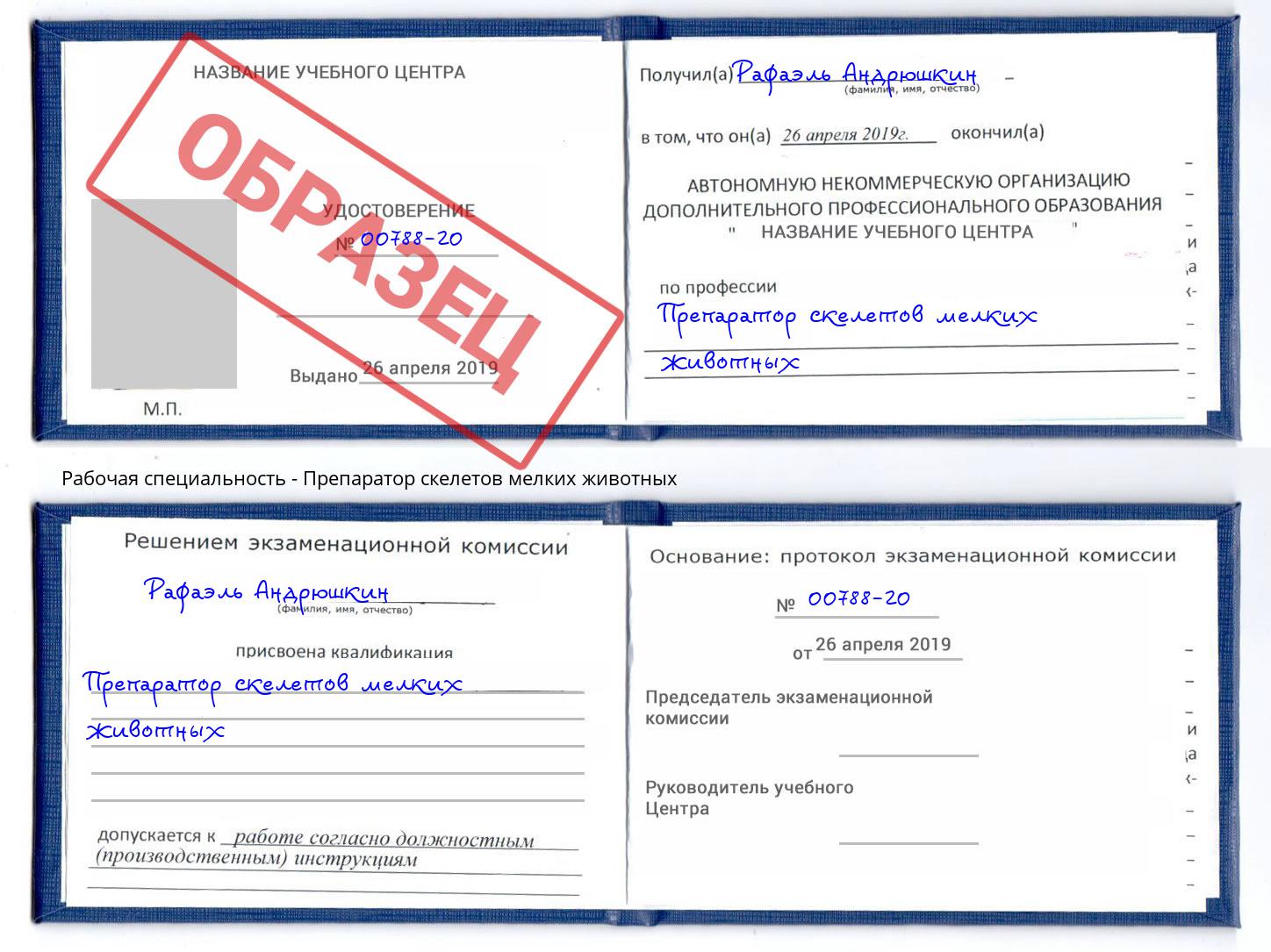 Препаратор скелетов мелких животных Стрежевой