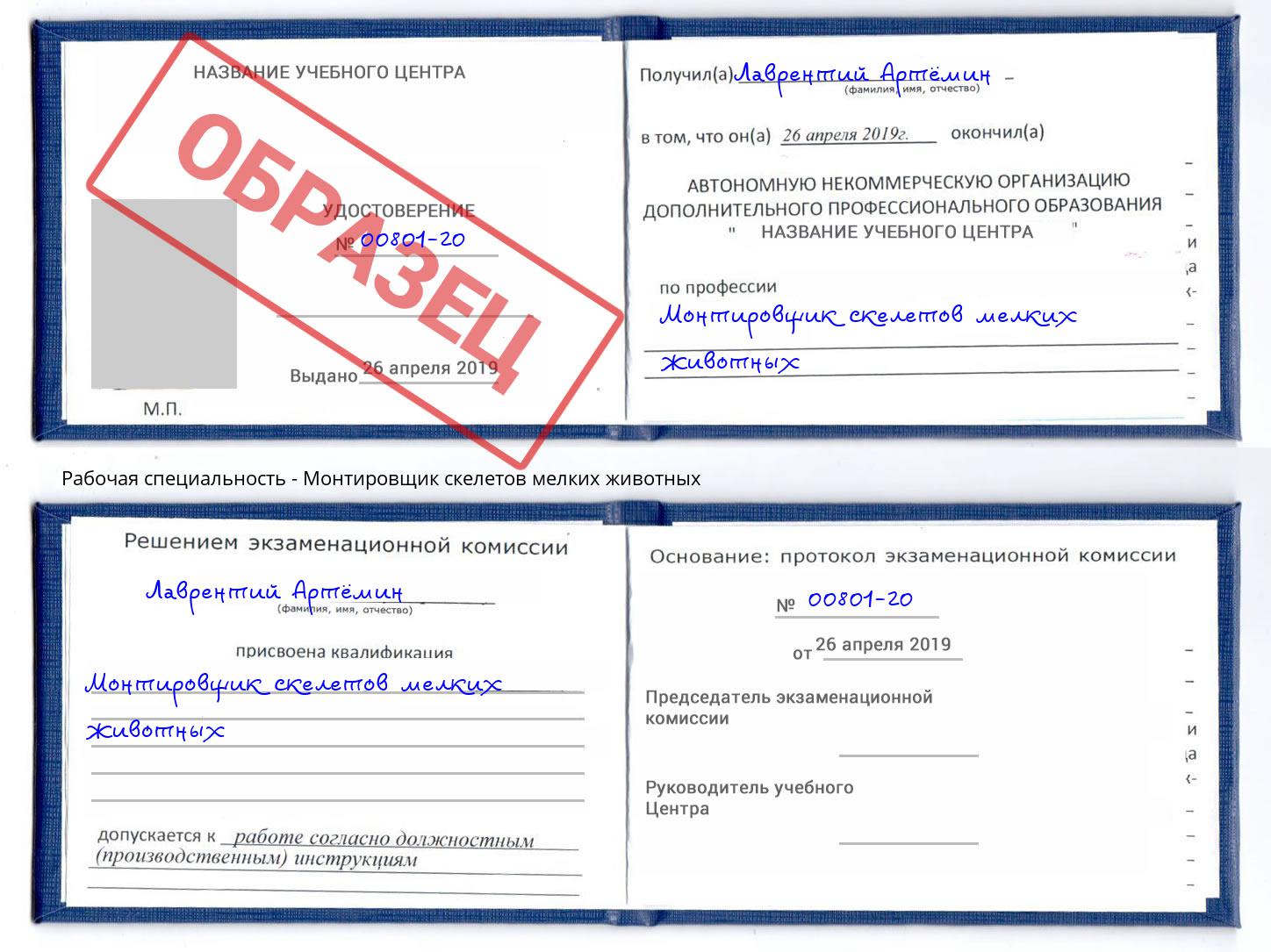 Монтировщик скелетов мелких животных Стрежевой