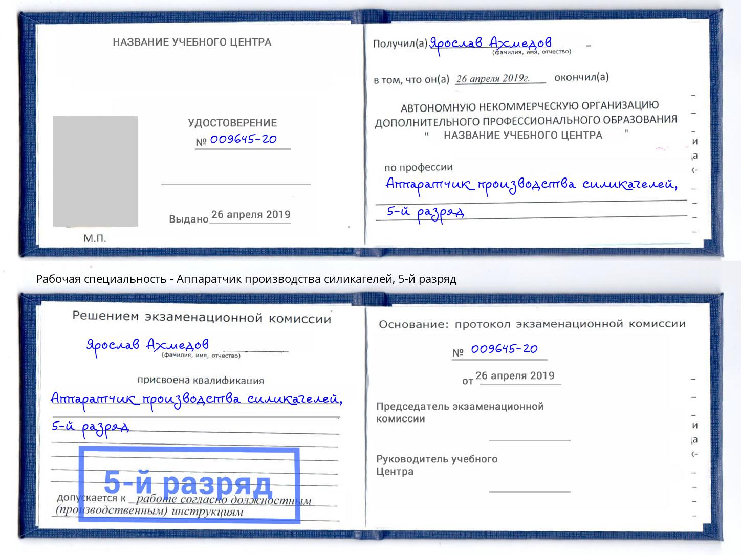 корочка 5-й разряд Аппаратчик производства силикагелей Стрежевой