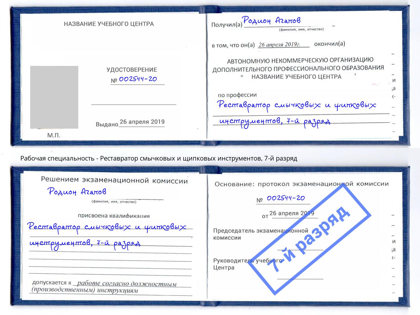 корочка 7-й разряд Реставратор смычковых и щипковых инструментов Стрежевой