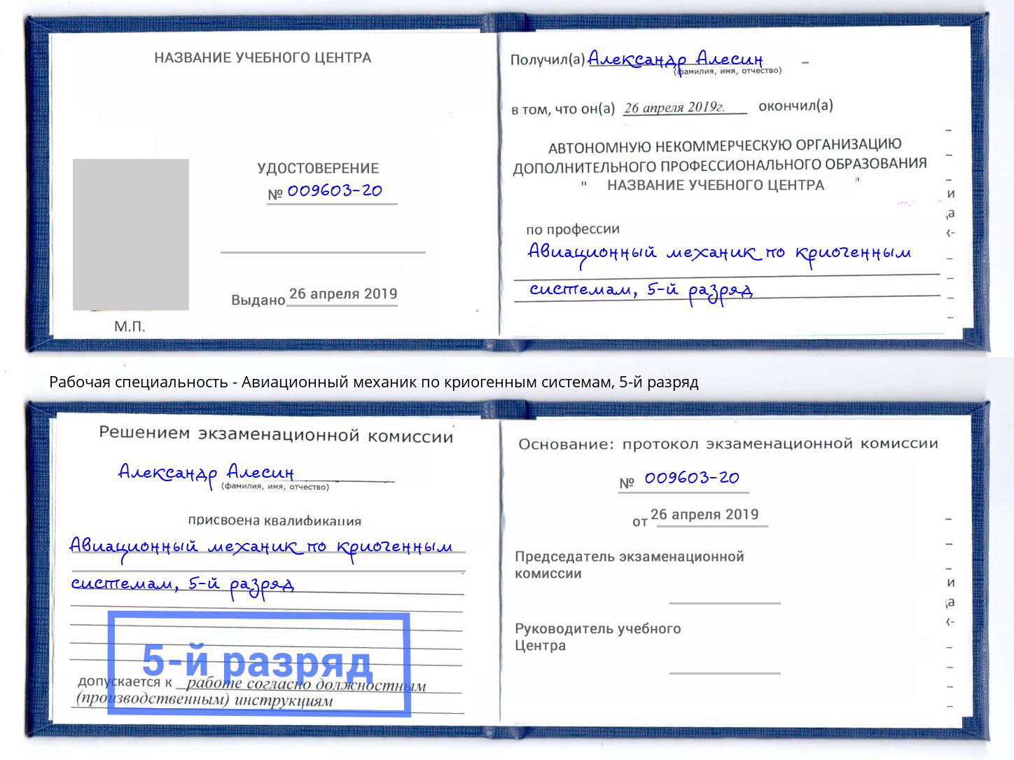 корочка 5-й разряд Авиационный механик по криогенным системам Стрежевой